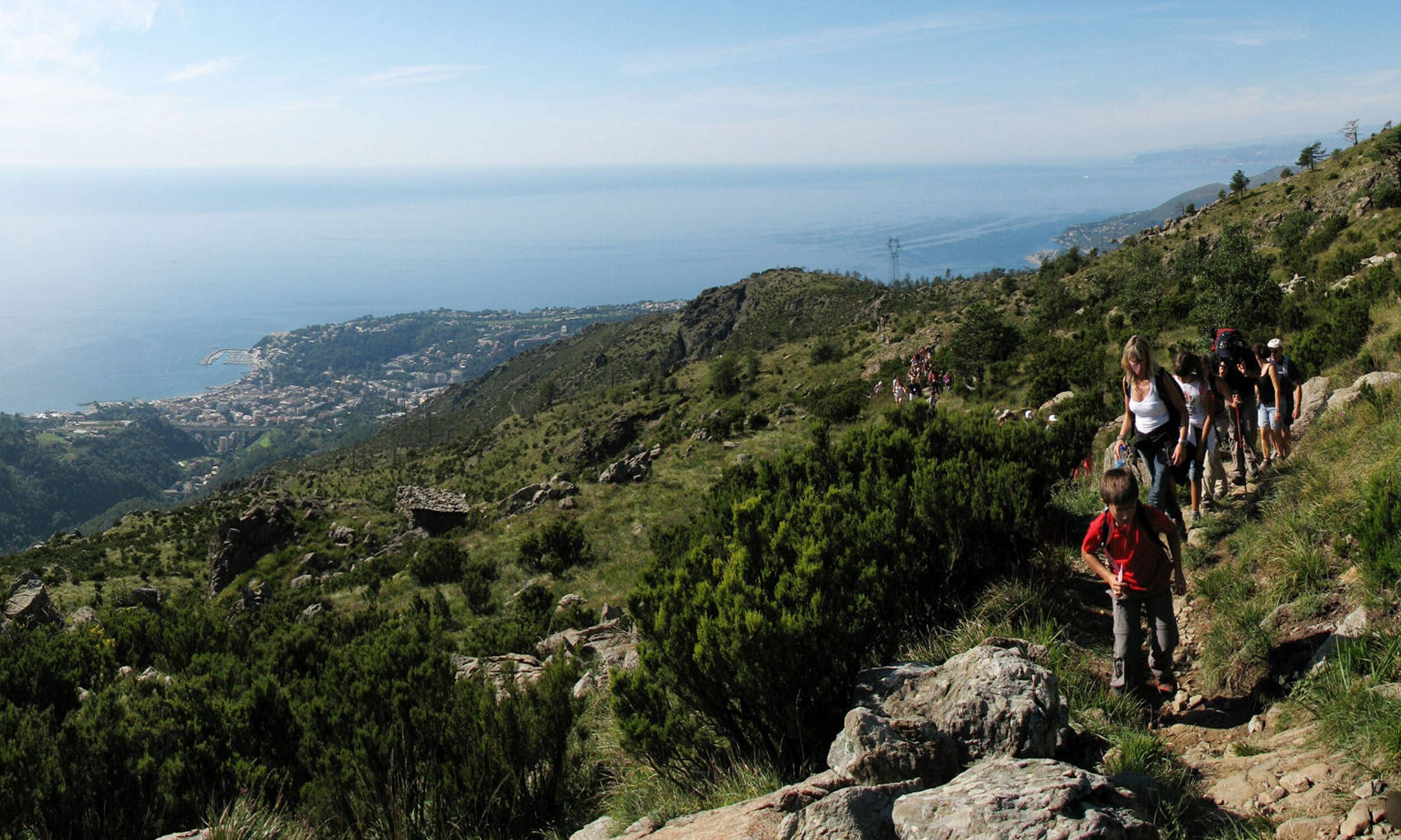 Membership